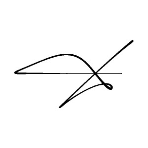 Chữ ký chữ X